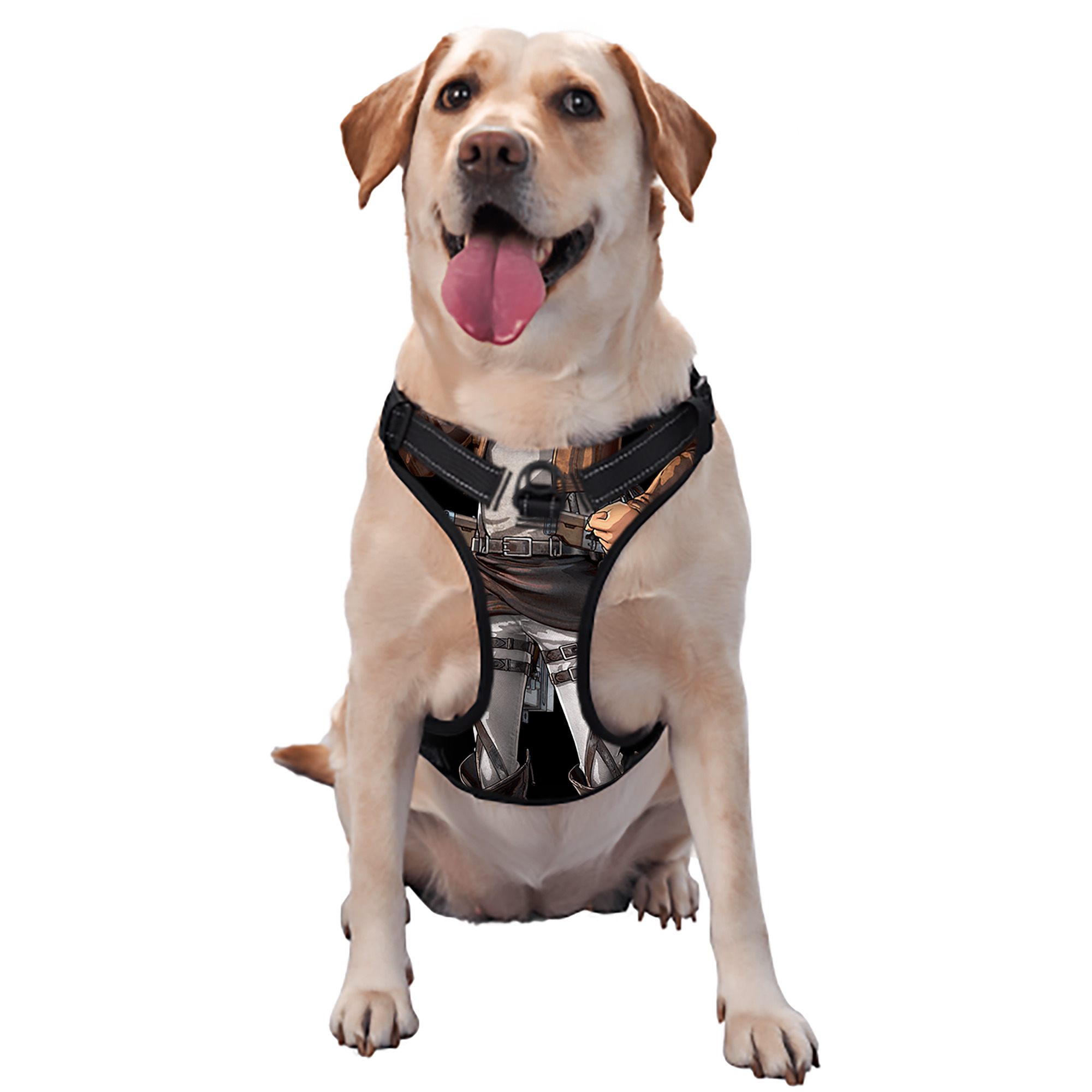 （画像用） 進撃の巨人 ライナー・ブラウン Attack on Titan Reiner Braun ペット用ハーネス